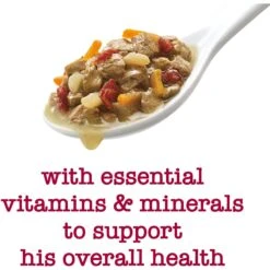 Purina Beneful Medleys Tuscan Style Canned Dog Food -Blue Buffalos Shop 100126 PT3. AC SS1800 V1700157804