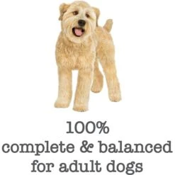 Purina Beneful Medleys Tuscan Style Canned Dog Food -Blue Buffalos Shop 100126 PT6. AC SS1800 V1700160883