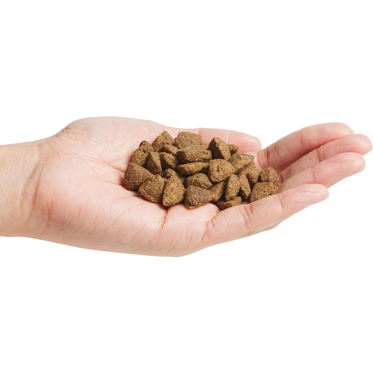 Purina Pro Plan Adult Sensitive Skin & Stomach Salmon & Rice Formula Dry Dog Food 5 Purina Pro Plan Adult Sensitive Skin & Stomach Salmon & Rice Formula Dry Dog Food - Image 3