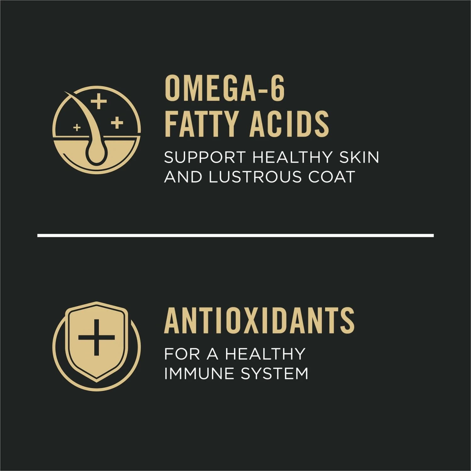 Purina Pro Plan Adult Sensitive Skin & Stomach Salmon & Rice Formula Dry Dog Food 6 Purina Pro Plan Adult Sensitive Skin & Stomach Salmon & Rice Formula Dry Dog Food - Image 4