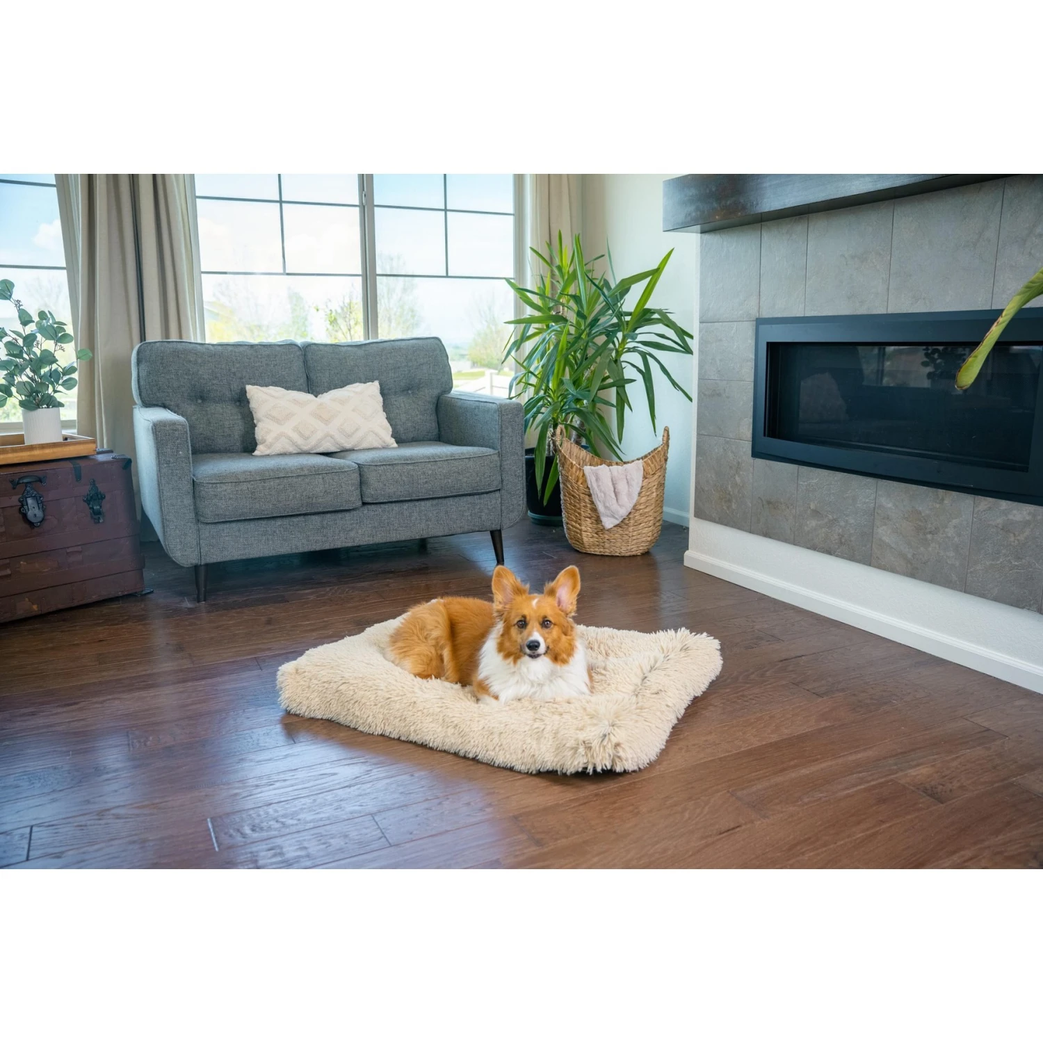 Best Friends By Sheri 4-in-1 Orthopedic Nap Mat Shag Dog Mat With Removable Cover 3 Best Friends By Sheri 4-in-1 Orthopedic Nap Mat Shag Dog Mat With Removable Cover