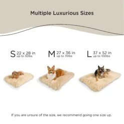 Best Friends By Sheri 4-in-1 Orthopedic Nap Mat Shag Dog Mat With Removable Cover 12 Best Friends By Sheri 4-in-1 Orthopedic Nap Mat Shag Dog Mat With Removable Cover -Blue Buffalos Shop 1020670 PT4. AC SS1800 V1701361780