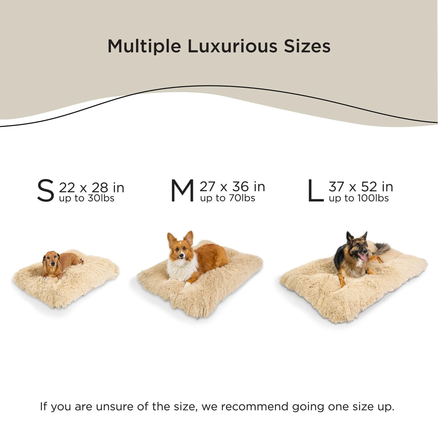 Best Friends By Sheri 4-in-1 Orthopedic Nap Mat Shag Dog Mat With Removable Cover 7 Best Friends By Sheri 4-in-1 Orthopedic Nap Mat Shag Dog Mat With Removable Cover - Image 5