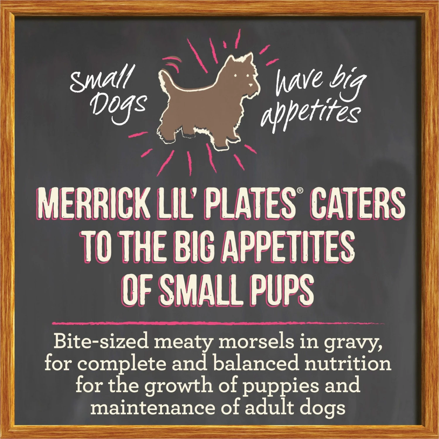 Merrick Lil' Plates Grain-Free Small Breed Wet Dog Food Pint-Sized Puppy Plate 6 Merrick Lil' Plates Grain-Free Small Breed Wet Dog Food Pint-Sized Puppy Plate - Image 4