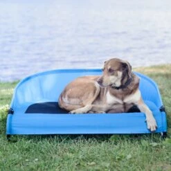 Gen7Pets Cool-Air Cot Elevated Dog Bed 15 Gen7Pets Cool-Air Cot Elevated Dog Bed -Blue Buffalos Shop 105020 PT4. AC SS1800 V1566323753