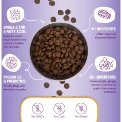 Health Extension Grain-Free Salmon Recipe Dry Dog Food -Blue Buffalos Shop 105280 PT4. AC SS1800 V1678387508