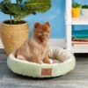 American Kennel Club AKC Casablanca Bolster Cat & Dog Bed -Blue Buffalos Shop 106537 MAIN. AC SS1800 V1566250321
