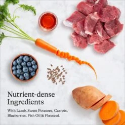 American Journey Lamb & Sweet Potato Recipe Grain-Free Dry Dog Food -Blue Buffalos Shop 108419 PT5. AC SS1800 V1680545177