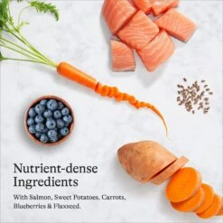 American Journey Salmon & Sweet Potato Recipe Grain-Free Dry Dog Food -Blue Buffalos Shop 108423 PT5. AC SS1800 V1680545524