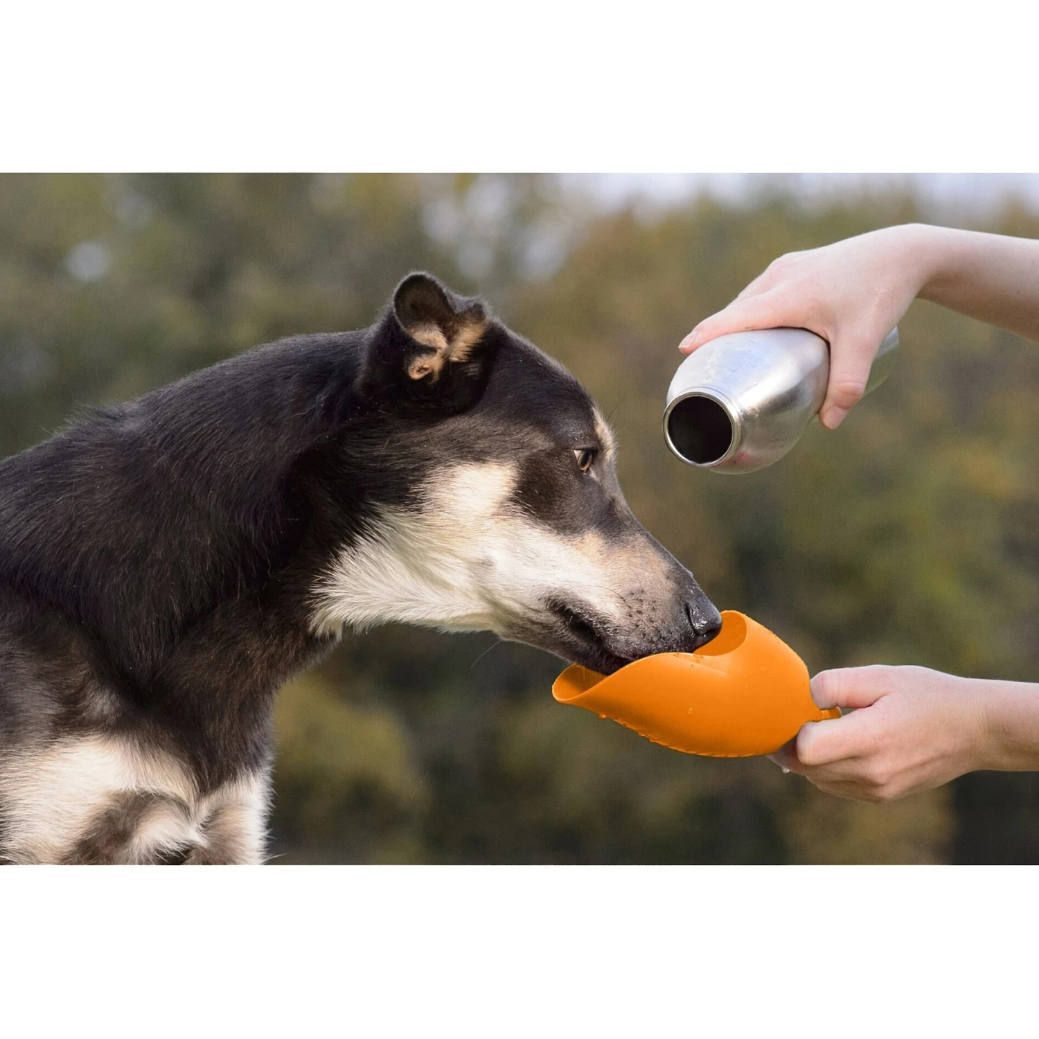 KONG H2O Stainless Steel Dog Water Bottle 4 KONG H2O Stainless Steel Dog Water Bottle - Image 2