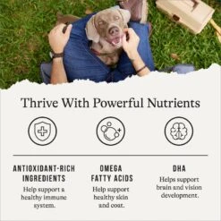 American Journey Protein & Grains Chicken, Brown Rice & Vegetables Recipe Dry Dog Food -Blue Buffalos Shop 109339 PT4. AC SS1800 V1668737458