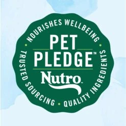 Nutro Limited Ingredient Diet Sensitive Support With Real Lamb & Sweet Potato Grain-Free Small Bites Adult Dry Dog Food -Blue Buffalos Shop 109399 PT8. AC SS1800 V1670341790