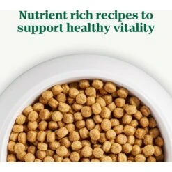 Nutro Natural Choice Small Bites Adult Chicken & Brown Rice Recipe Dry Dog Food -Blue Buffalos Shop 109418 PT8. AC SS1800 V1691418446