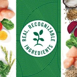 Nutro Natural Choice Small Breed Senior Chicken & Brown Rice Recipe Dry Dog Food 15 Nutro Natural Choice Small Breed Senior Chicken & Brown Rice Recipe Dry Dog Food -Blue Buffalos Shop 109583 PT4. AC SS1800 V1691417023