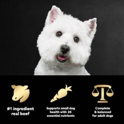 Cesar Filet Mignon Flavor & Spring Vegetables Garnish Small Breed Dry Dog Food -Blue Buffalos Shop 110524 PT8. AC SS1800 V1695674569