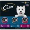 Cesar Filets In Gravy Beef Flavors Variety Pack Small Breed Adult Wet Dog Food -Blue Buffalos Shop 110539 MAIN. AC SS1800 V1695650018