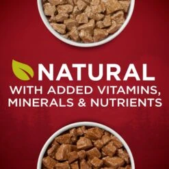 Purina ONE SmartBlend True Instinct Tender Cuts In Gravy Variety Pack Canned Dog Food -Blue Buffalos Shop 111092 PT2. AC SS1800 V1671735752