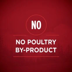 Purina ONE SmartBlend True Instinct Tender Cuts In Gravy Variety Pack Canned Dog Food -Blue Buffalos Shop 111092 PT3. AC SS1800 V1671734929