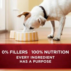 Purina ONE SmartBlend True Instinct Tender Cuts In Gravy Variety Pack Canned Dog Food -Blue Buffalos Shop 111092 PT8. AC SS1800 V1671734992