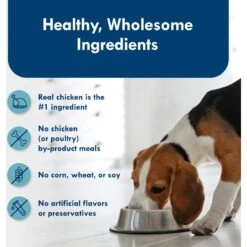 Blue Buffalo Divine Delights Grilled Chicken Flavor Pate Dog Food Trays -Blue Buffalos Shop 114266 PT5. AC SS1800 V1642639027