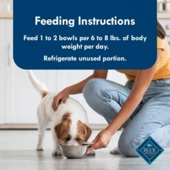 Blue Buffalo Divine Delights Roasted Turkey Flavor Pate Dog Food Trays -Blue Buffalos Shop 114275 PT7. AC SS1800 V1642641474