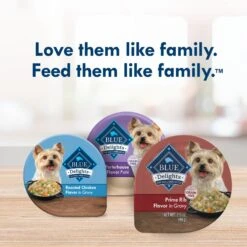 Blue Buffalo Divine Delights Prime Rib Flavor Hearty Gravy Dog Food Trays -Blue Buffalos Shop 114291 PT8. AC SS1800 V1642633936