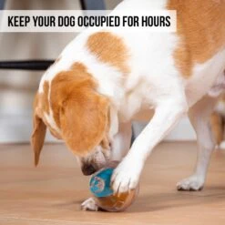 Pet Zone IQ Treat Dispenser Ball Dog Toy -Blue Buffalos Shop 115632 Pt3. AC SS1800 V1583771890