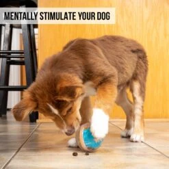 Pet Zone IQ Treat Dispenser Ball Dog Toy -Blue Buffalos Shop 115632 Pt5. AC SS1800 V1583771892