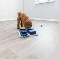 TRIXIE Activity Poker Box Activity Strategy Game Dog Toy, Level 2 -Blue Buffalos Shop 118931 PT2. AC SS1800 V1686328989