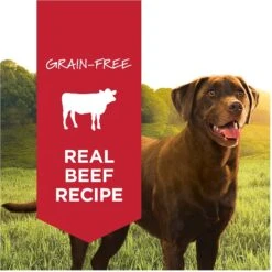 Instinct Original Grain-Free Real Beef Recipe Natural Wet Canned Dog Food 11 Instinct Original Grain-Free Real Beef Recipe Natural Wet Canned Dog Food -Blue Buffalos Shop 120818 PT1. AC SS1800 V1548865939
