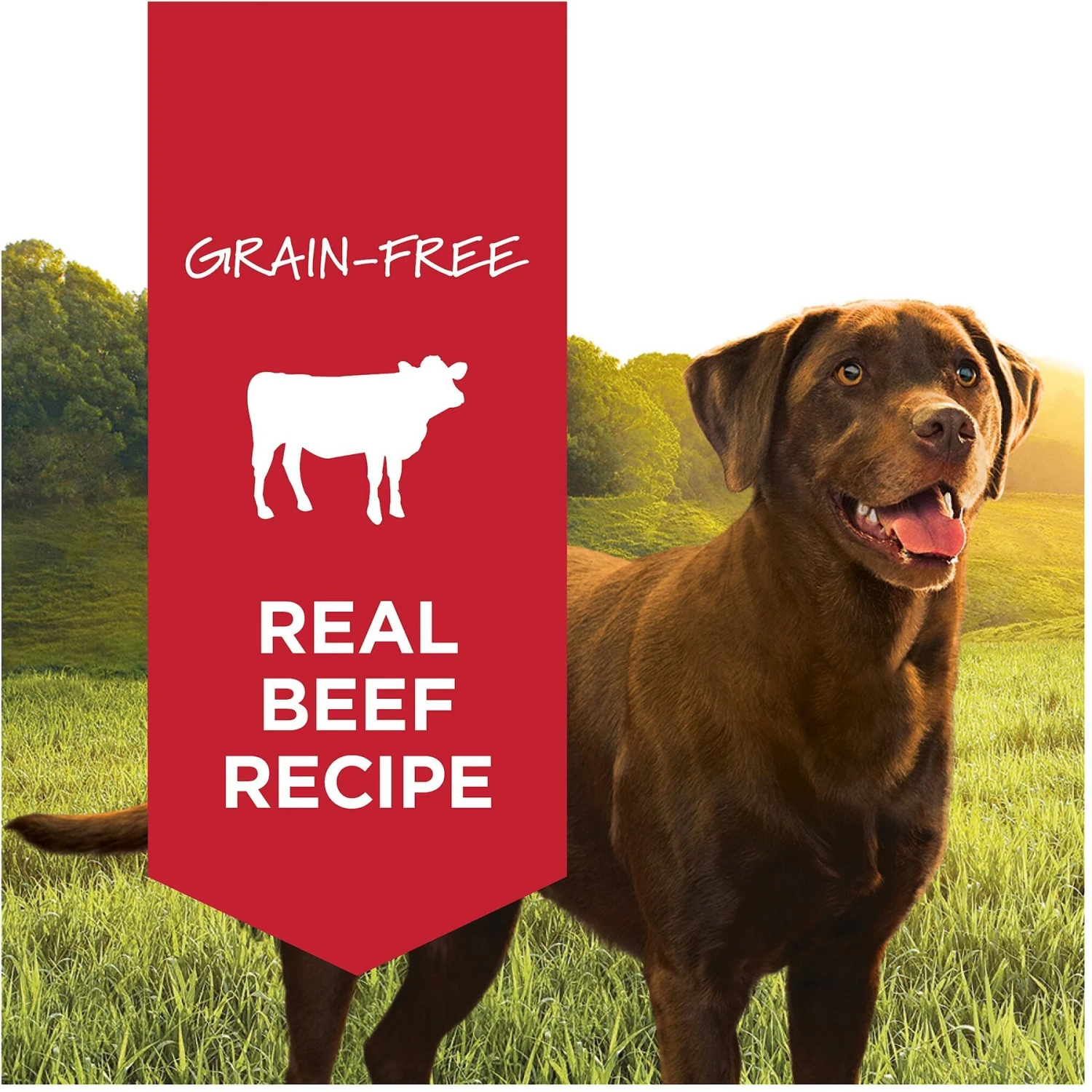 Instinct Original Grain-Free Real Beef Recipe Natural Wet Canned Dog Food 4 Instinct Original Grain-Free Real Beef Recipe Natural Wet Canned Dog Food - Image 2