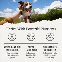 American Journey Protein & Grains Large Breed Salmon, Brown Rice & Vegetables Recipe Dry Dog Food 15 American Journey Protein & Grains Large Breed Salmon, Brown Rice & Vegetables Recipe Dry Dog Food -Blue Buffalos Shop 121223 PT4. AC SS1800 V1668737455