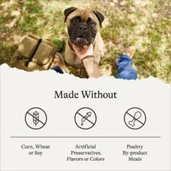 American Journey Protein & Grains Large Breed Salmon, Brown Rice & Vegetables Recipe Dry Dog Food 17 American Journey Protein & Grains Large Breed Salmon, Brown Rice & Vegetables Recipe Dry Dog Food -Blue Buffalos Shop 121223 PT6. AC SS1800 V1680623752