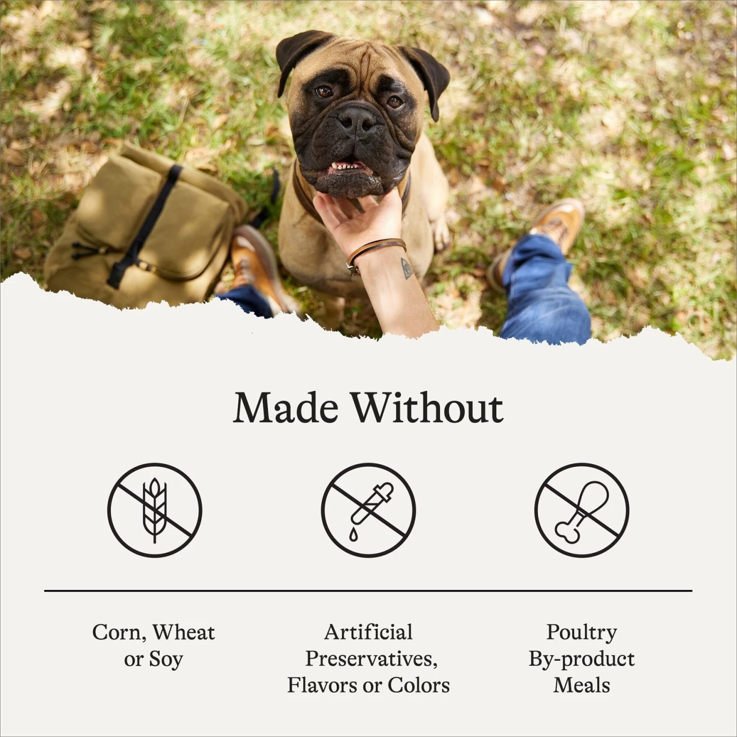 American Journey Protein & Grains Large Breed Salmon, Brown Rice & Vegetables Recipe Dry Dog Food 9 American Journey Protein & Grains Large Breed Salmon, Brown Rice & Vegetables Recipe Dry Dog Food - Image 7