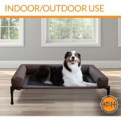 K&H Pet Products Original Bolster Pet Cot Elevated Dog Bed, Chocolate -Blue Buffalos Shop 121246 PT4. AC SS1800 V1620844404