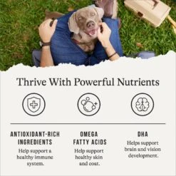 American Journey Limited Ingredient Salmon & Sweet Potato Recipe Grain-Free Dry Dog Food -Blue Buffalos Shop 121276 PT4. AC SS1800 V1665438003