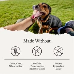 American Journey Limited Ingredient Salmon & Sweet Potato Recipe Grain-Free Dry Dog Food -Blue Buffalos Shop 121276 PT6. AC SS1800 V1680545529