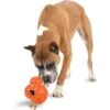 PetSafe Busy Buddy Barnacle Treat Dispenser Dog Toy -Blue Buffalos Shop 121351 MAIN. AC SS1800 V1599830794