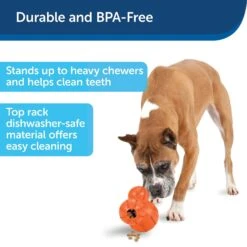 PetSafe Busy Buddy Barnacle Treat Dispenser Dog Toy -Blue Buffalos Shop 121351 PT5. AC SS1800 V1599830754