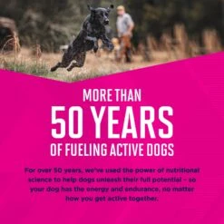 Eukanuba Puppy With Lamb & Rice Canned Dog Food -Blue Buffalos Shop 121996 PT6. AC SS1800 V1494353283