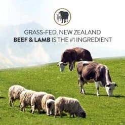 Addiction Mega Complete Balanced Grain-Free Medium To Large Breed Adult Dry Dog Food -Blue Buffalos Shop 123903 PT3. AC SS1800 V1637713001