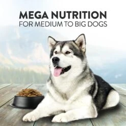Addiction Mega Complete Balanced Grain-Free Medium To Large Breed Adult Dry Dog Food -Blue Buffalos Shop 123903 PT4. AC SS1800 V1637711495
