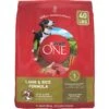 Purina ONE Natural SmartBlend Lamb & Rice Formula Dry Dog Food