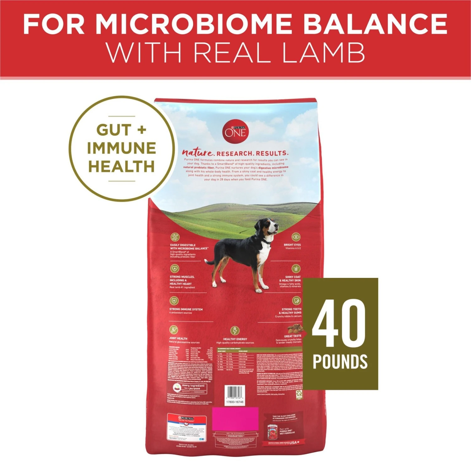 Purina ONE Natural SmartBlend Lamb & Rice Formula Dry Dog Food 4 Purina ONE Natural SmartBlend Lamb & Rice Formula Dry Dog Food - Image 2