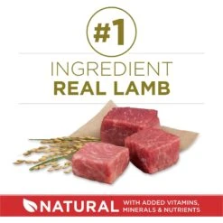 Purina ONE Natural SmartBlend Lamb & Rice Formula Dry Dog Food 13 Purina ONE Natural SmartBlend Lamb & Rice Formula Dry Dog Food -Blue Buffalos Shop 126355 PT2. AC SS1800 V1676319354