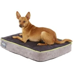 Better World Pets Orthopedic Pillow Dog Bed With Removable Cover 14 Better World Pets Orthopedic Pillow Dog Bed With Removable Cover -Blue Buffalos Shop 126592 PT3. AC SS1800 V1566333506