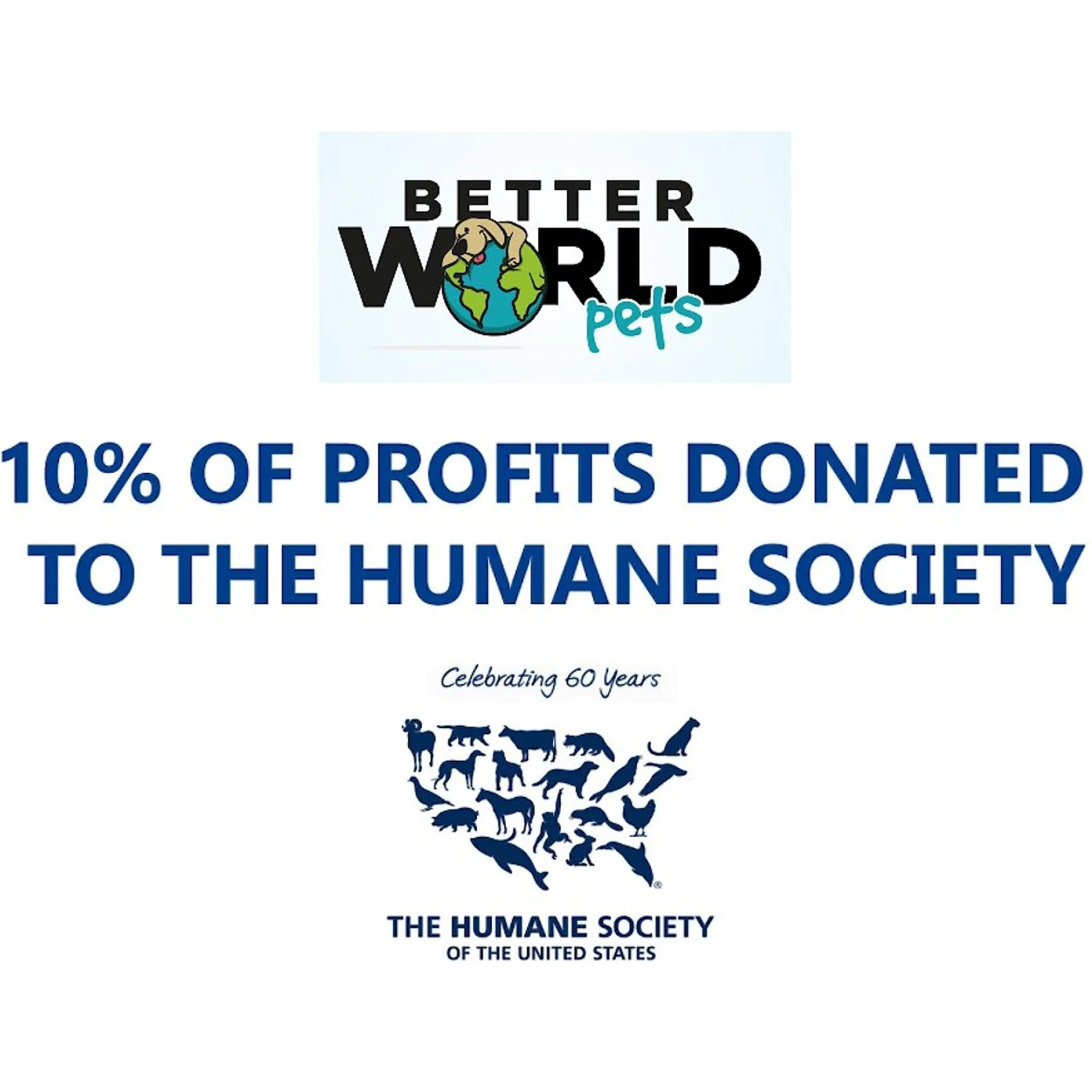 Better World Pets Orthopedic Pillow Dog Bed With Removable Cover 11 Better World Pets Orthopedic Pillow Dog Bed With Removable Cover - Image 9