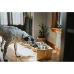 Pawfect Pets Premium Non-Skid Elevated Dog & Cat Bowl -Blue Buffalos Shop 127480 PT4. AC SS1800 V1627612941