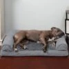 FurHaven Plush & Suede Orthopedic Sofa Cat & Dog Bed -Blue Buffalos Shop 127512 MAIN. AC SS1800 V1606316249