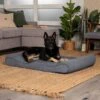 FurHaven Microvelvet Luxe Lounger Orthopedic Cat & Dog Bed With Removable Cover -Blue Buffalos Shop 127544 MAIN. AC SS1800 V1698695353
